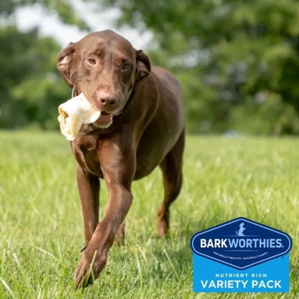 Barkworthies Large Breed Variety Pack Chews For Dog, 4 chews