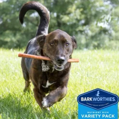 Barkworthies Medium Breed Variety Pack Dog Chews Treats for Dogs (5 chews)