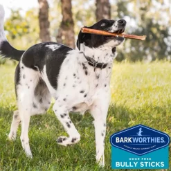 Barkworthies Odor-Free Bully Sticks Treats For Dogs