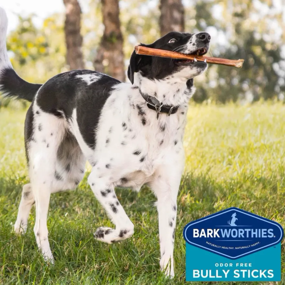 Barkworthies Odor-Free Bully Sticks Treats For Dogs