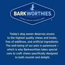 Barkworthies Odor-Free Cane Bully Stick Treats For Dogs , 1ct
