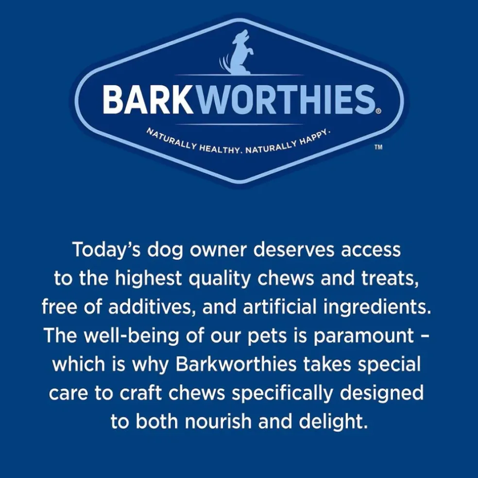 Barkworthies Odor-Free Cane Bully Stick Treats For Dogs , 1ct