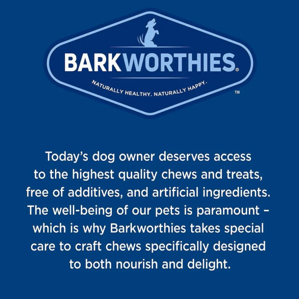 Barkworthies Small Beef Gullet Strip Treats For Dogs, 1ct