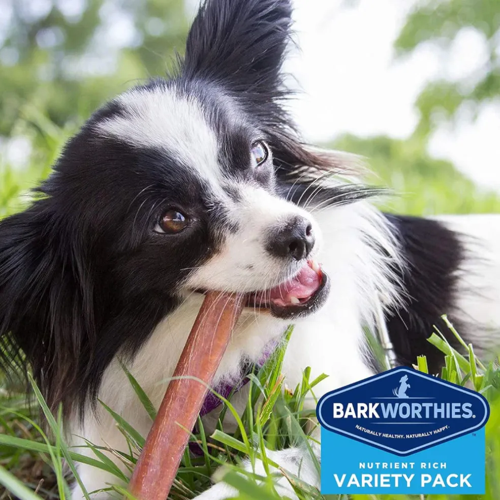 Barkworthies Small Breed Variety Pack Chews Treats For Dogs, 5 chews