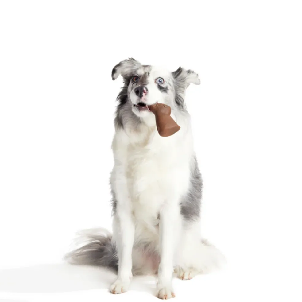 Bark Yummy Bunny Chew Toy, Medlum/Large