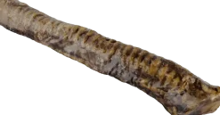 Beef Trachea 12”