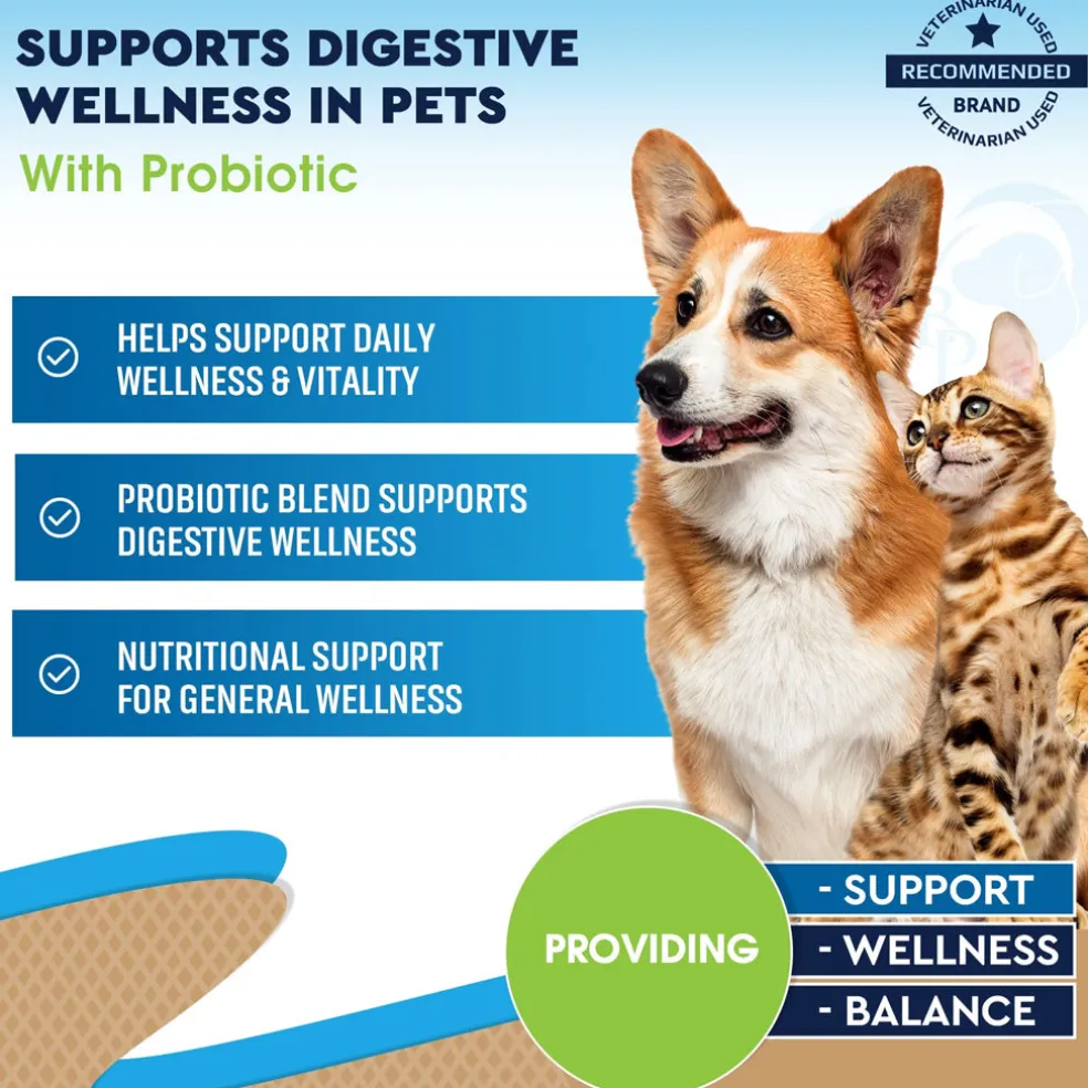 Beloved Pets Digestive Support with Probiotics for Dogs & Cats, 2-oz