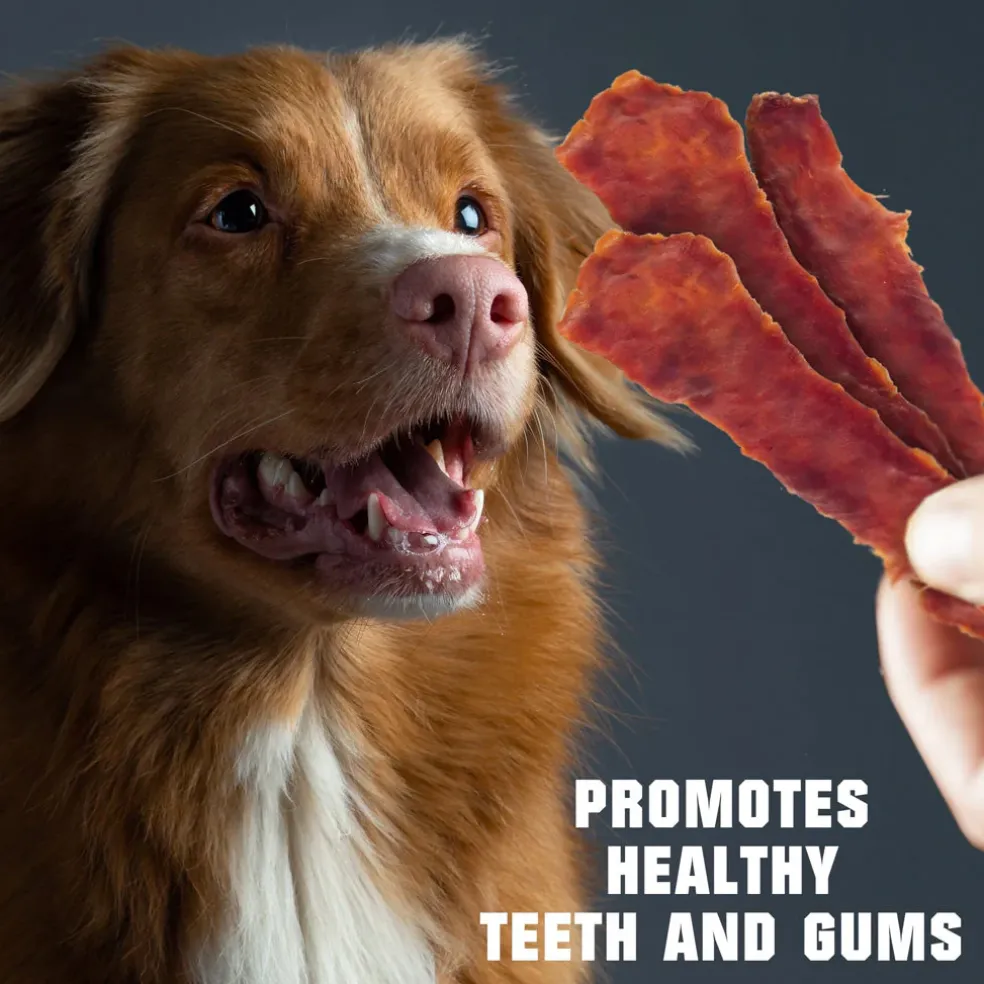 Beloved Pets Duck Jerky Breast Dog Treats, 1.5-lb