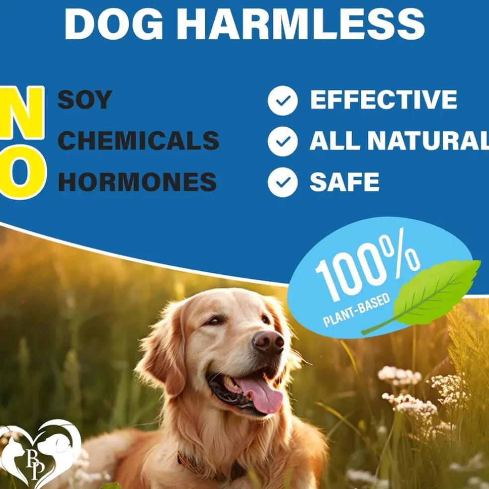 Beloved Pets Flea & Tick Prevention Support Soft Chews for Dogs, 10-oz