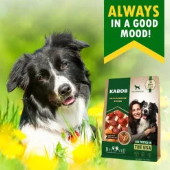 Beloved Pets Kabob with Rawhide Sticks Chicken, Duck & Liver Flavor Dog Treats, 10.6-oz