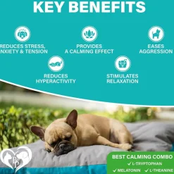 Beloved Pets Melatonin Bacon Flavored Chews Calming Supplement for Dogs, 10-oz
