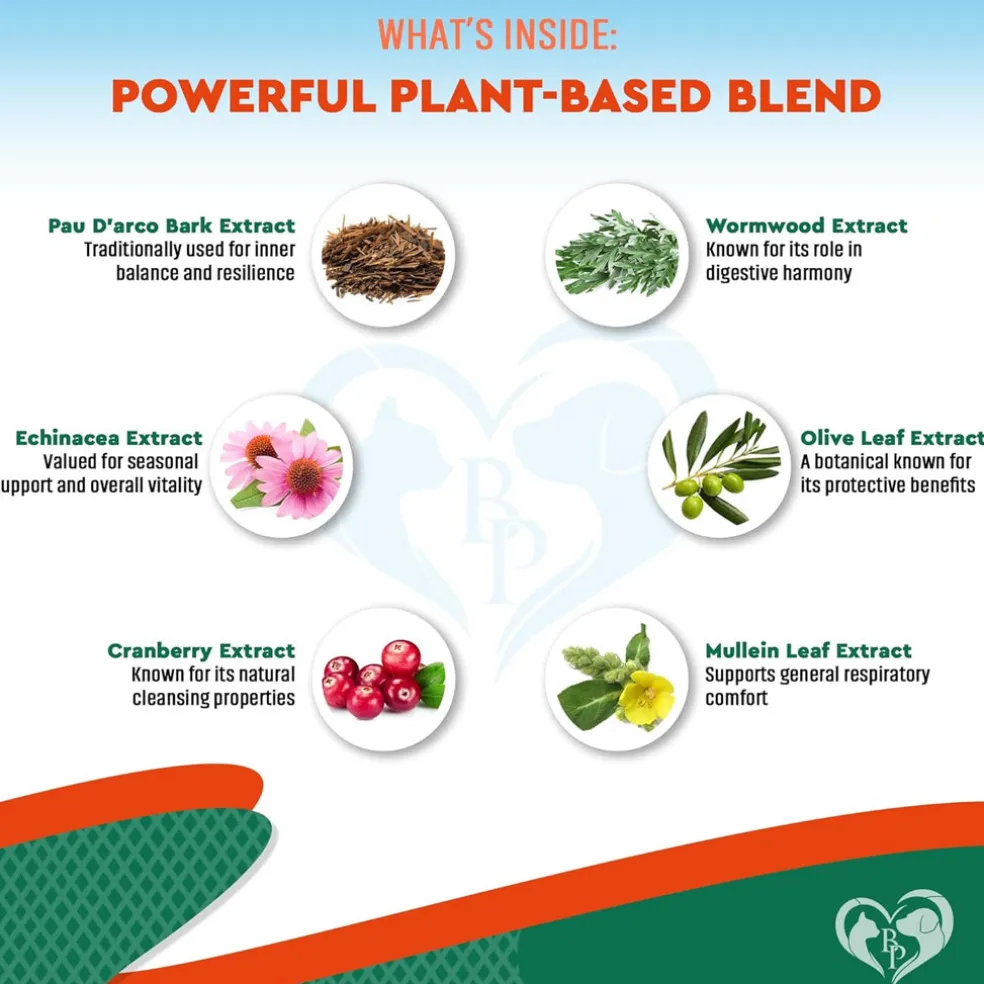 Beloved Pets Natural Herbiotic Liquid Urinary Supplement for Dogs & Cats, 60-mL
