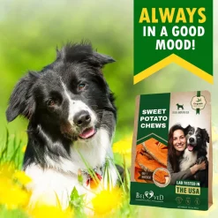 Beloved Pets Sweet Potato Chews Dog Treats, 10-oz