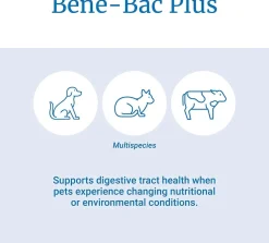Bene-Bac Plus Pet Powder, 16 oz