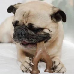 Benebone Bacon Flavor Wishbone Durable Chew Toy for Dogs