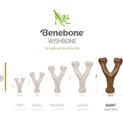 Benebone Bacon Flavor Wishbone Durable Chew Toy for Dogs