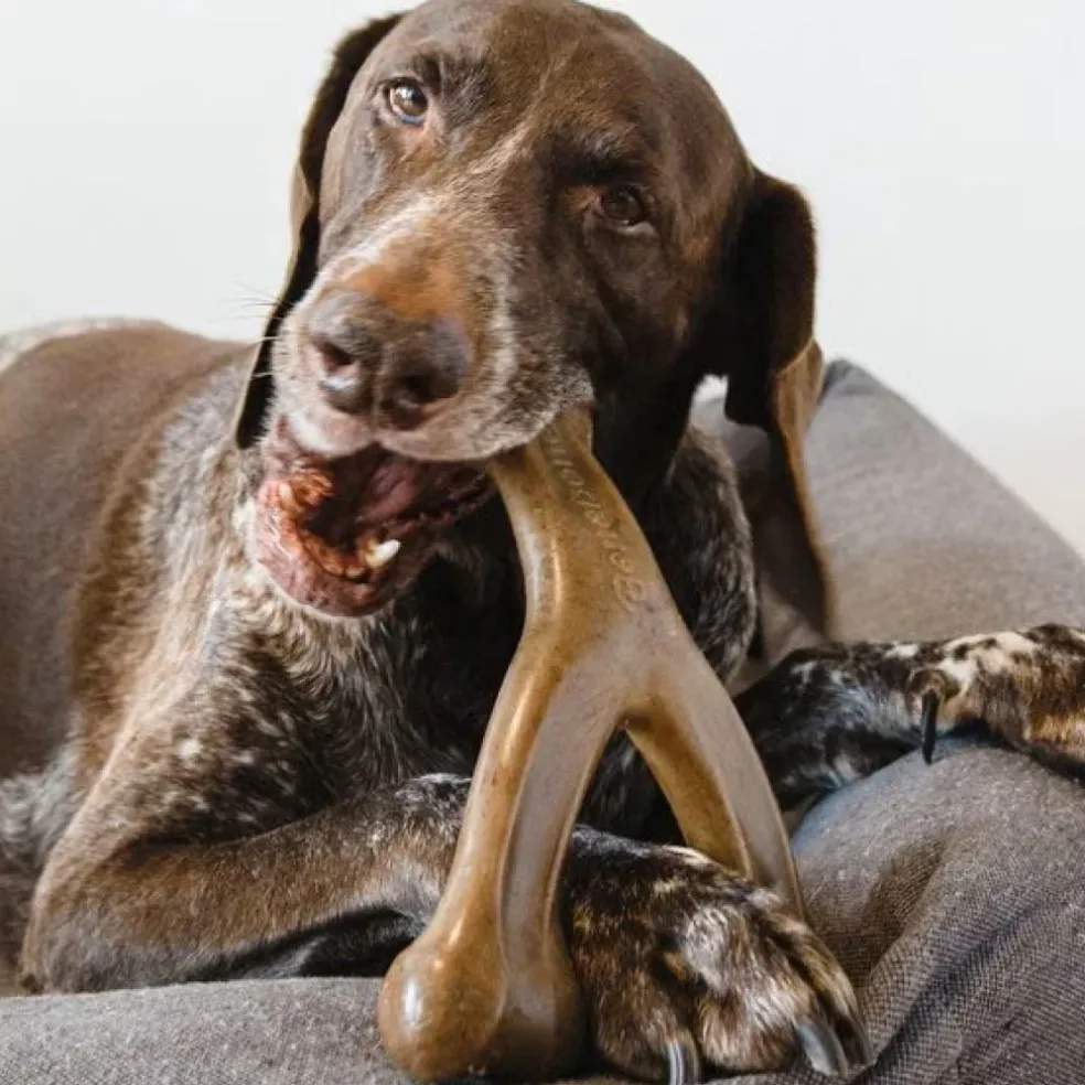 Benebone Bacon Flavor Wishbone Durable Chew Toy for Dogs