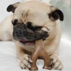 Benebone Peanut Butter Flavor Wishbone Durable Chew Toy for Dogs