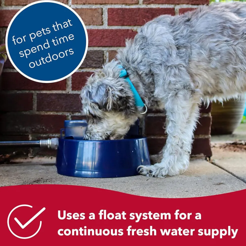 Bergan AutoWata Automatic Waterer Navy, One Size