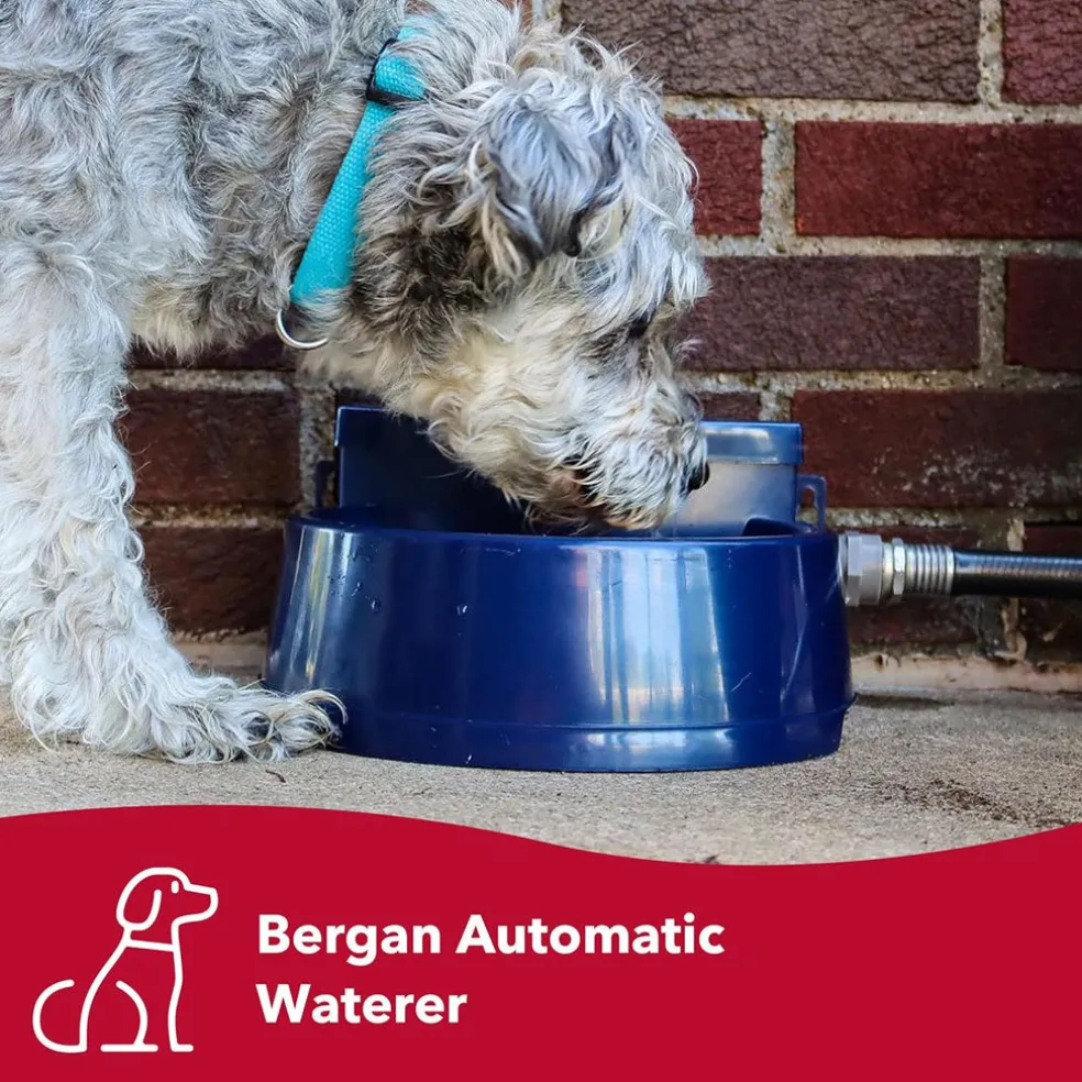 Bergan AutoWata Automatic Waterer Navy, One Size