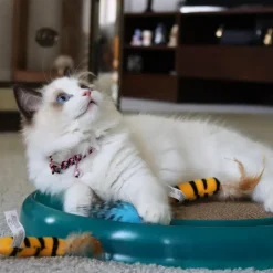 Bergan Turbo Scratcher Toy For Cats (Assorted Colors)