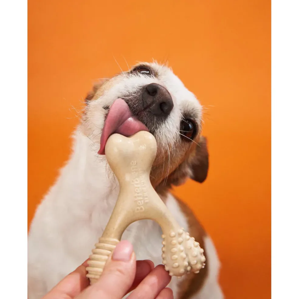 BetterBone Hard Density Classic Flavor Chew Toy For Dogs