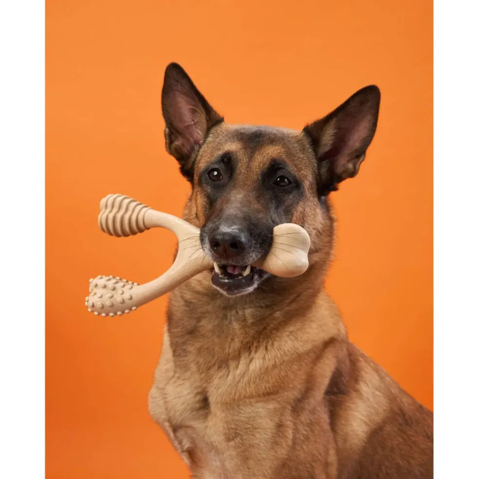 BetterBone Hard Density Classic Flavor Chew Toy For Dogs