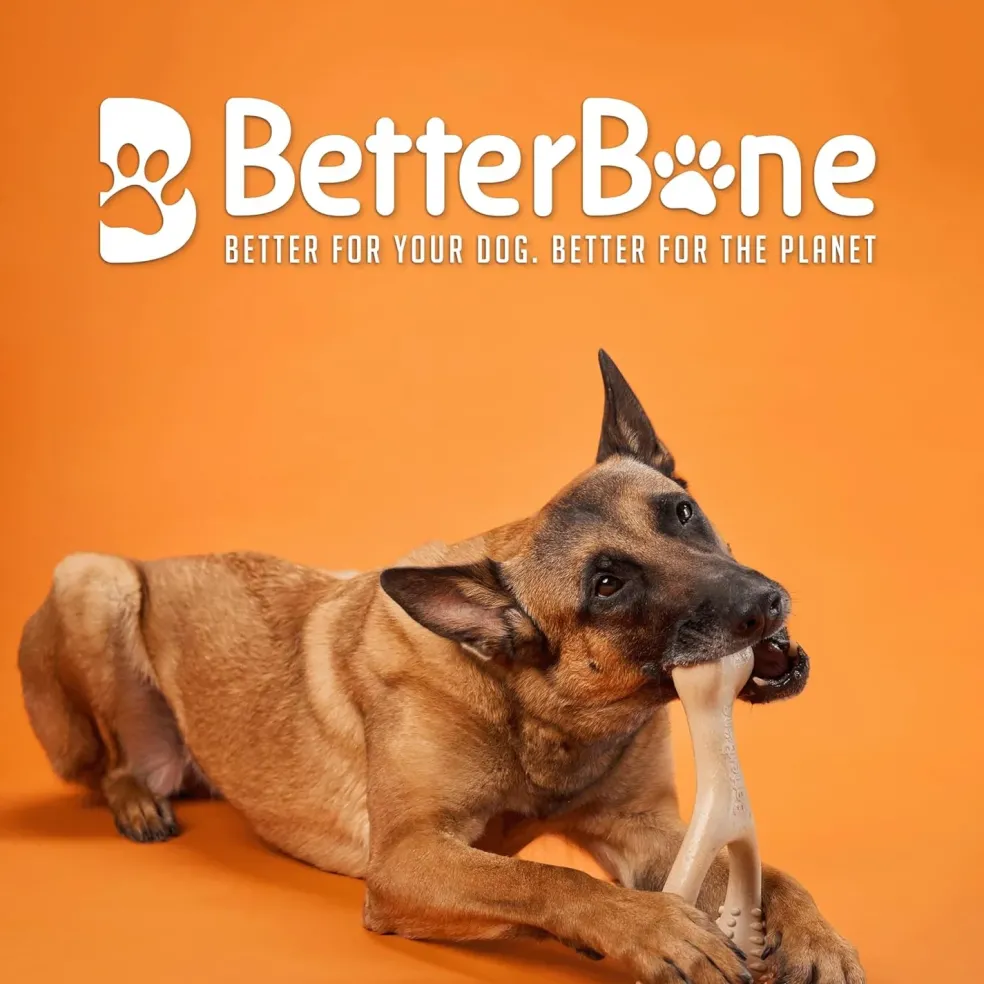 BetterBone Hard Density Classic Flavor Chew Toy For Dogs