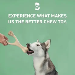 BetterBone Medium Density Beef Flavor Dog Chew Toy