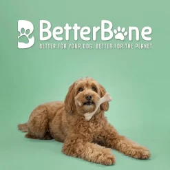 BetterBone Medium Density Beef Flavor Dog Chew Toy