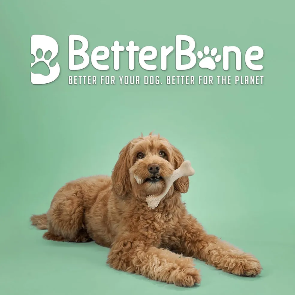BetterBone Medium Density Beef Flavor Dog Chew Toy