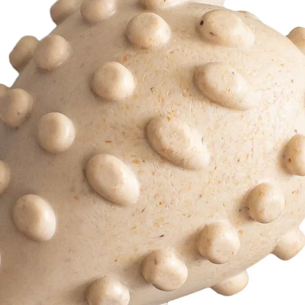 BetterBone Soft Density Beef Flavor Chew Toy For Dogs