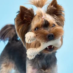 BetterBone Soft Density Classic Flavor Chew Toy For Dogs