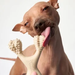 BetterBone Soft Density Classic Flavor Chew Toy For Dogs