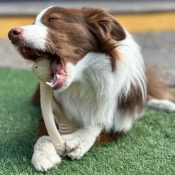 BetterBone Soft Density Classic Flavor Chew Toy For Dogs