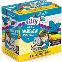 BFF OMG Charge Me Up! Chicken in Gravy Wet Cat Food, 2.8-oz pouch, 12 count