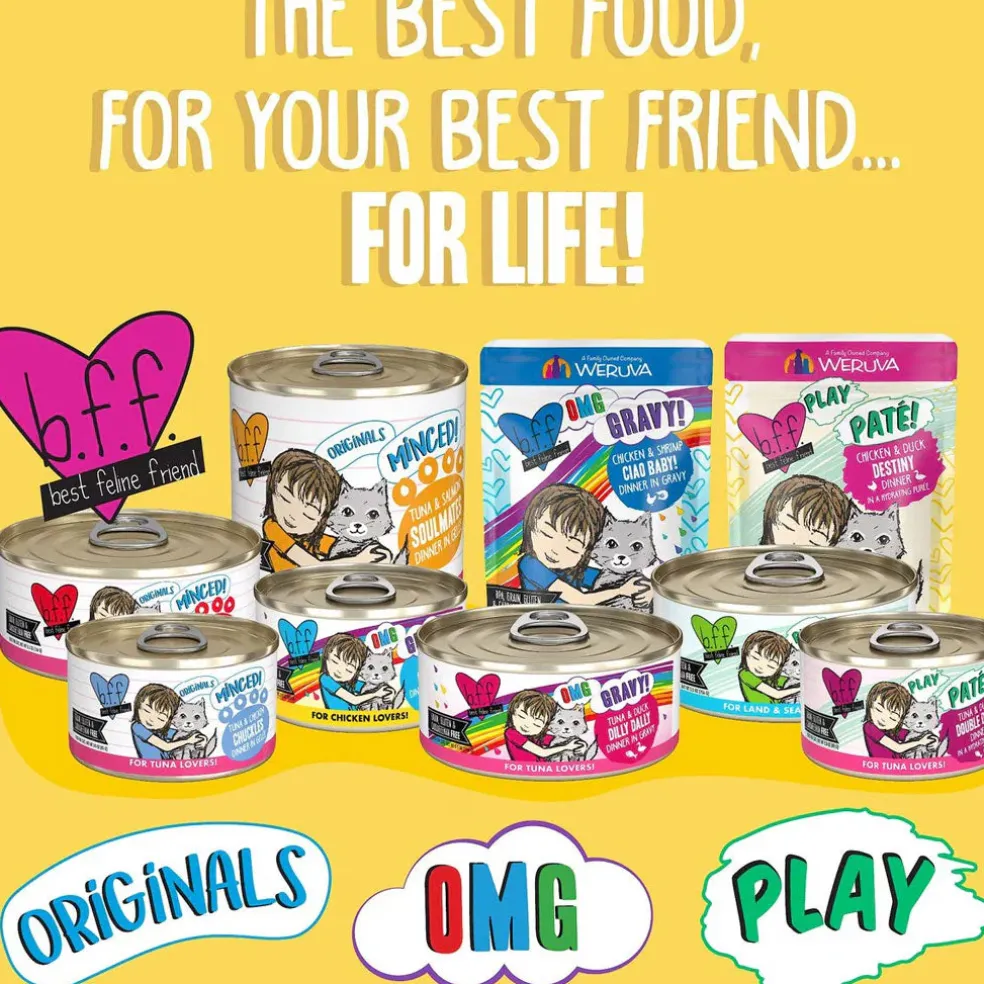 BFF OMG Cloud 9! Chicken in Gravy Minced Grain-Free Wet Cat Food, 2.8-oz can, case of 12