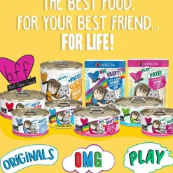 BFF OMG Stir It Up! Chicken & Salmon in Gravy Wet Canned Cat Food, 2.8-oz can, case of 12