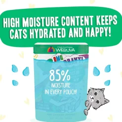 BFF OMG Text Me! Chicken & Turkey in Gravy Wet Cat Food Pouches, 2.8-oz pouch, 12 count