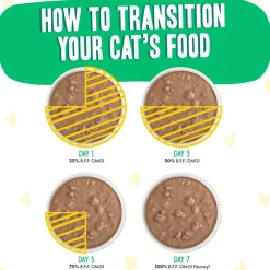 BFF OMG Text Me! Chicken & Turkey in Gravy Wet Cat Food Pouches, 2.8-oz pouch, 12 count