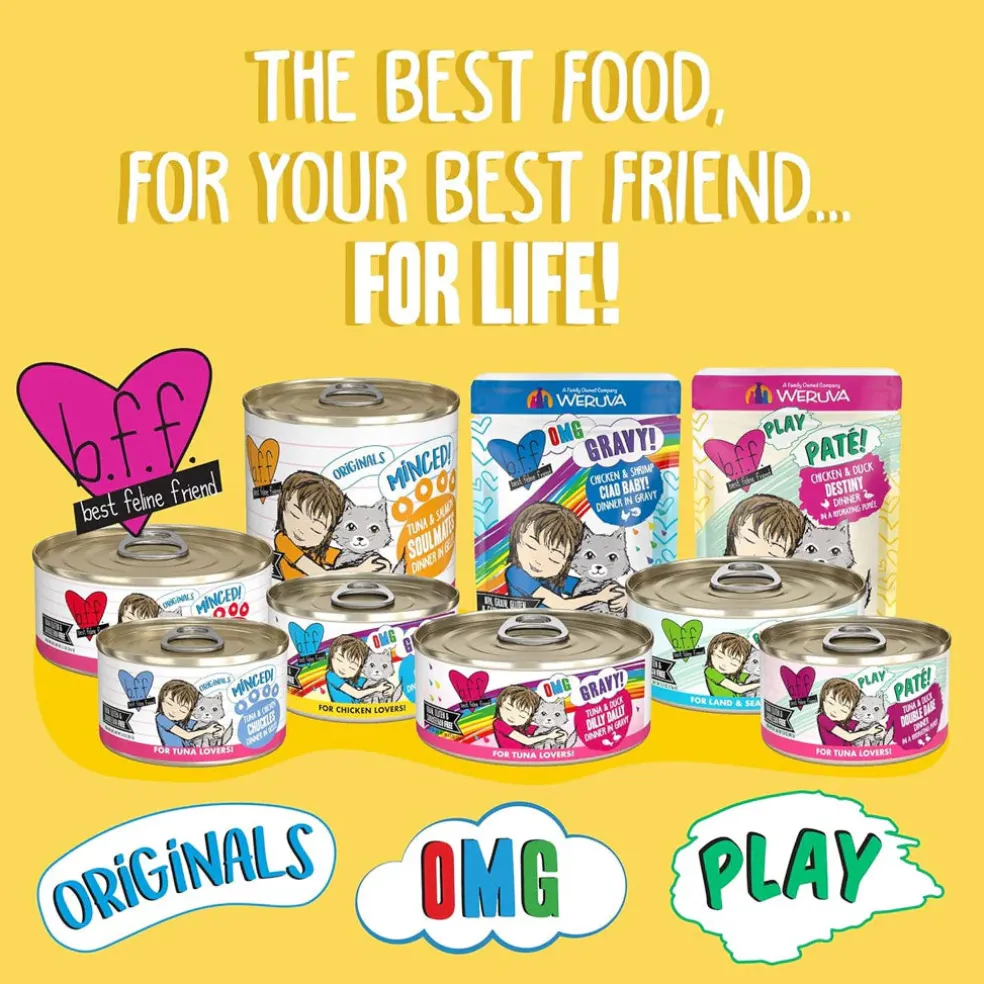 BFF Play Pate Lovers Chicken, Duck & Turkey Take a Chance Wet Cat Food