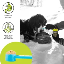Bixbi Digestive Support Powdered Mushroom Supplement For Dogs & Cats (60 g)