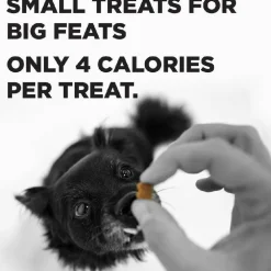 Bixbi Pocket Trainers Grain-Free Chicken Treats for Dogs (6 oz)