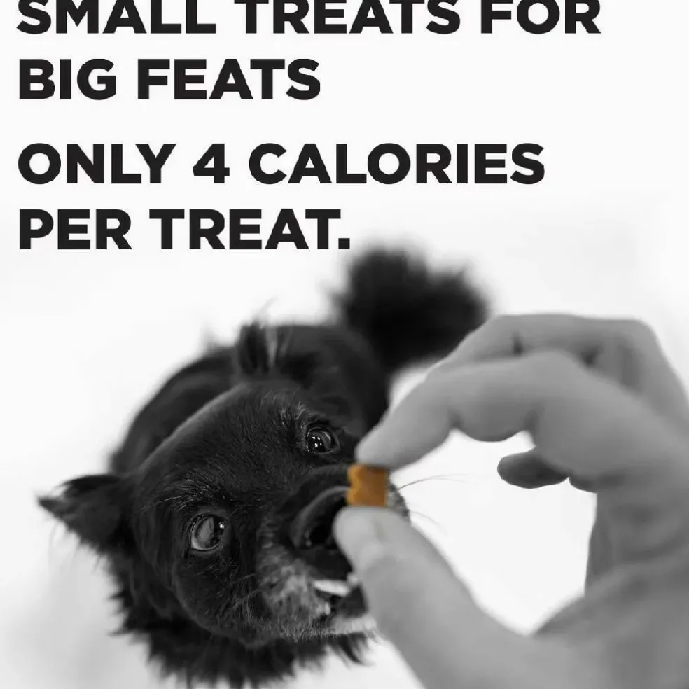 Bixbi Pocket Trainers Grain-Free Chicken Treats for Dogs (6 oz)