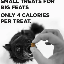 Bixbi Pocket Trainers Grain-Free Salmon Treats for Dogs (6 oz)