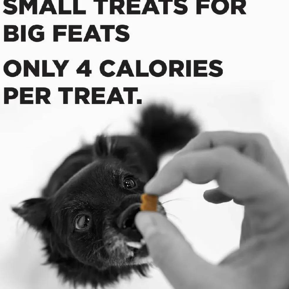 Bixbi Pocket Trainers Grain-Free Salmon Treats for Dogs (6 oz)
