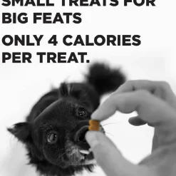 Bixbi Pocket Trainers Grain-Free Peanut Butter Treats for Dogs (6 oz)