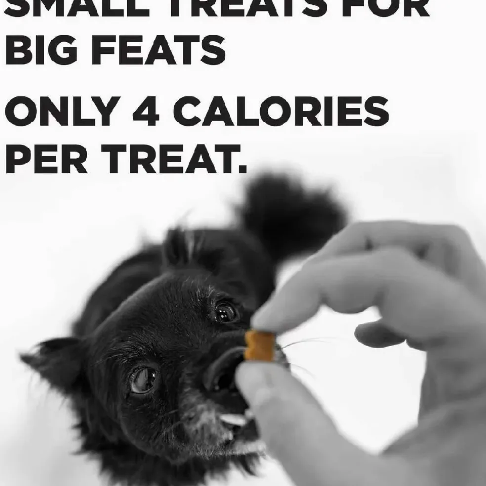 Bixbi Pocket Trainers Grain-Free Peanut Butter Treats for Dogs (6 oz)