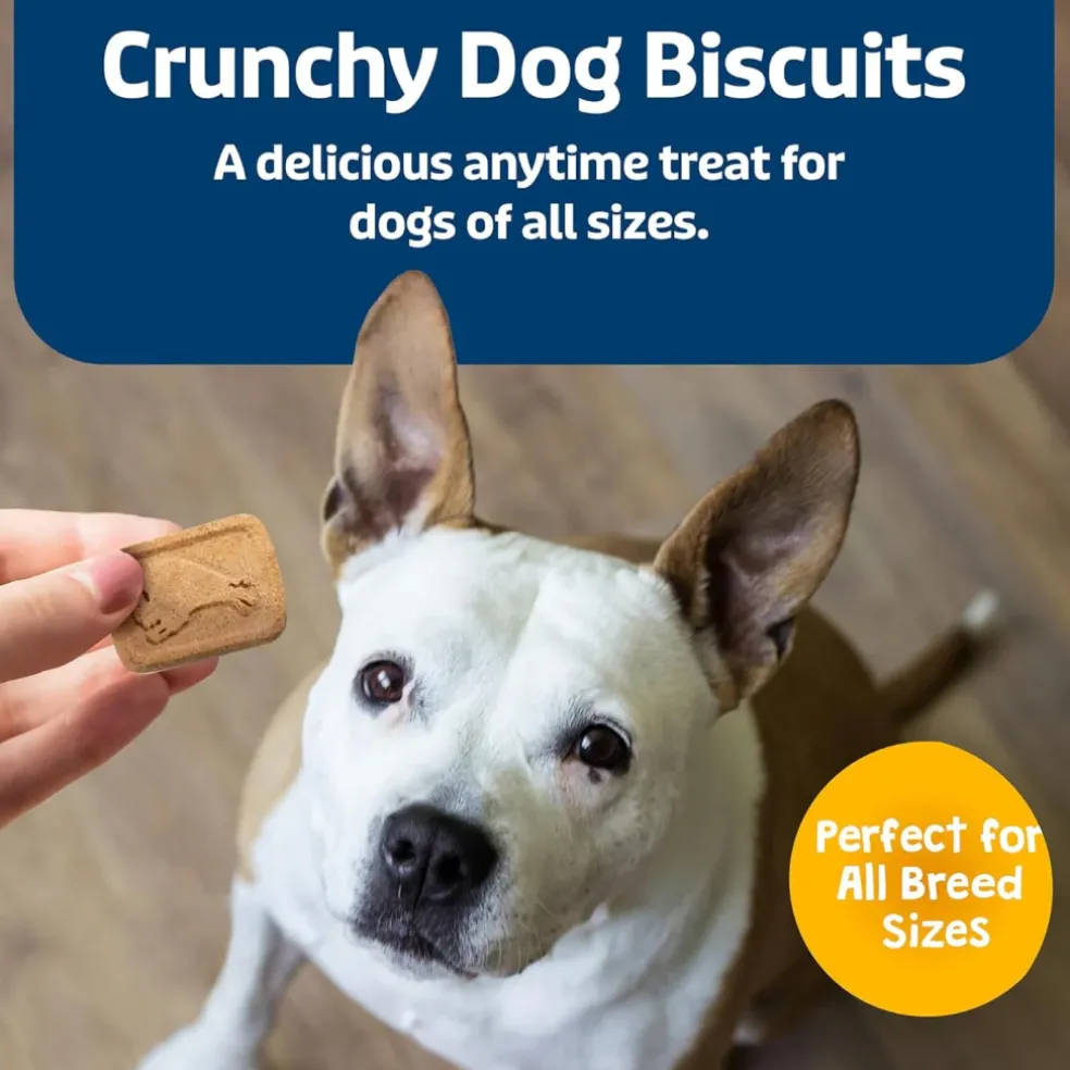 Blue Buffalo Health Bars Banana & Yogurt Biscuits for Dogs (16 oz)