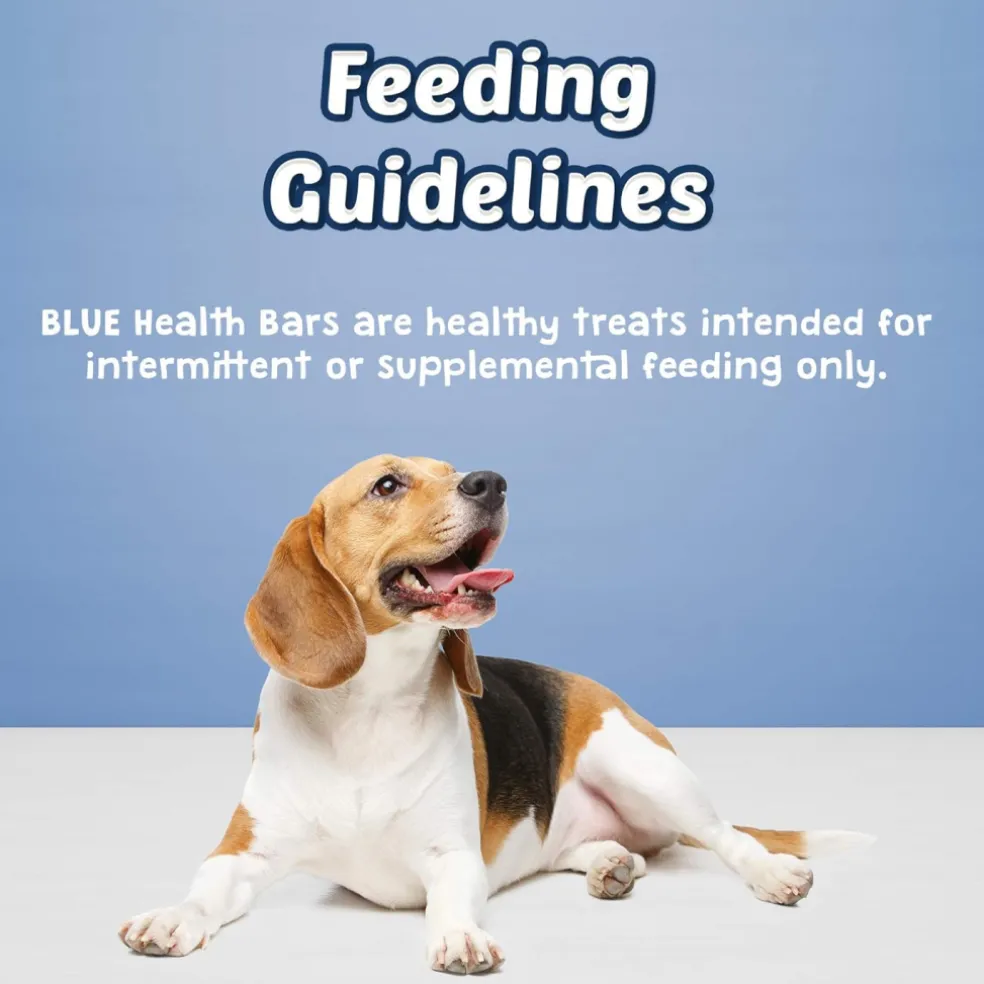 Blue Buffalo Health Bars Pumpkin & Cinnamon Biscuits for Dogs (16 oz)